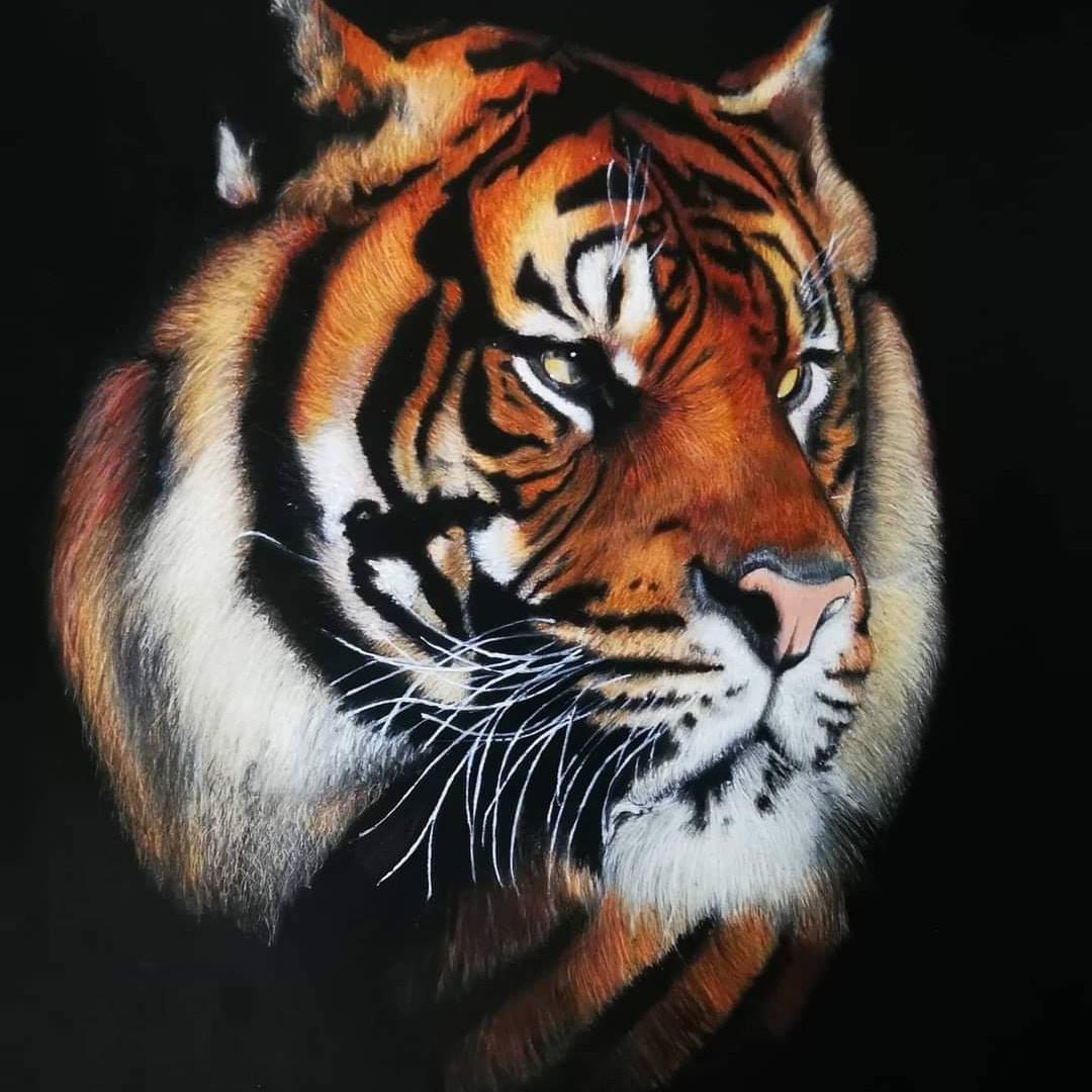 Michelle Wilson Art